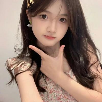 小查与寇弟的顶级冒险